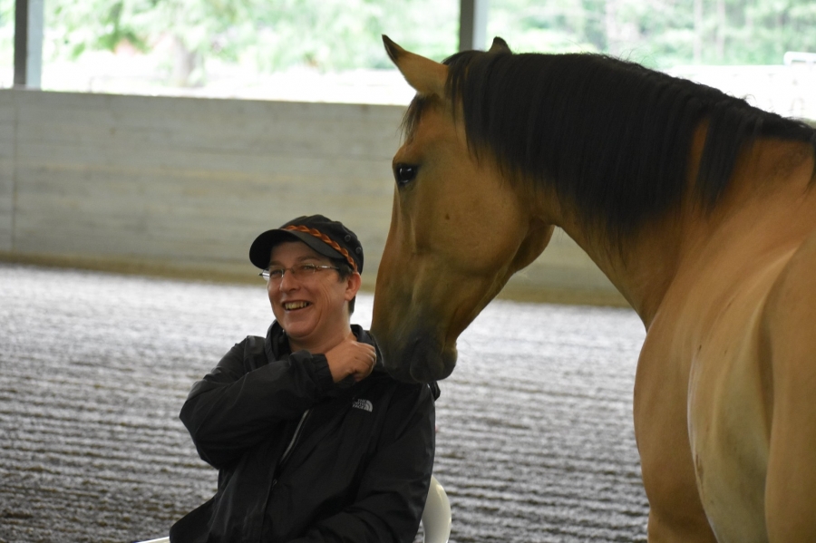 Sharon Wilsie, Horse Speak & SURE FOOT Sure Foot Equine Stability
